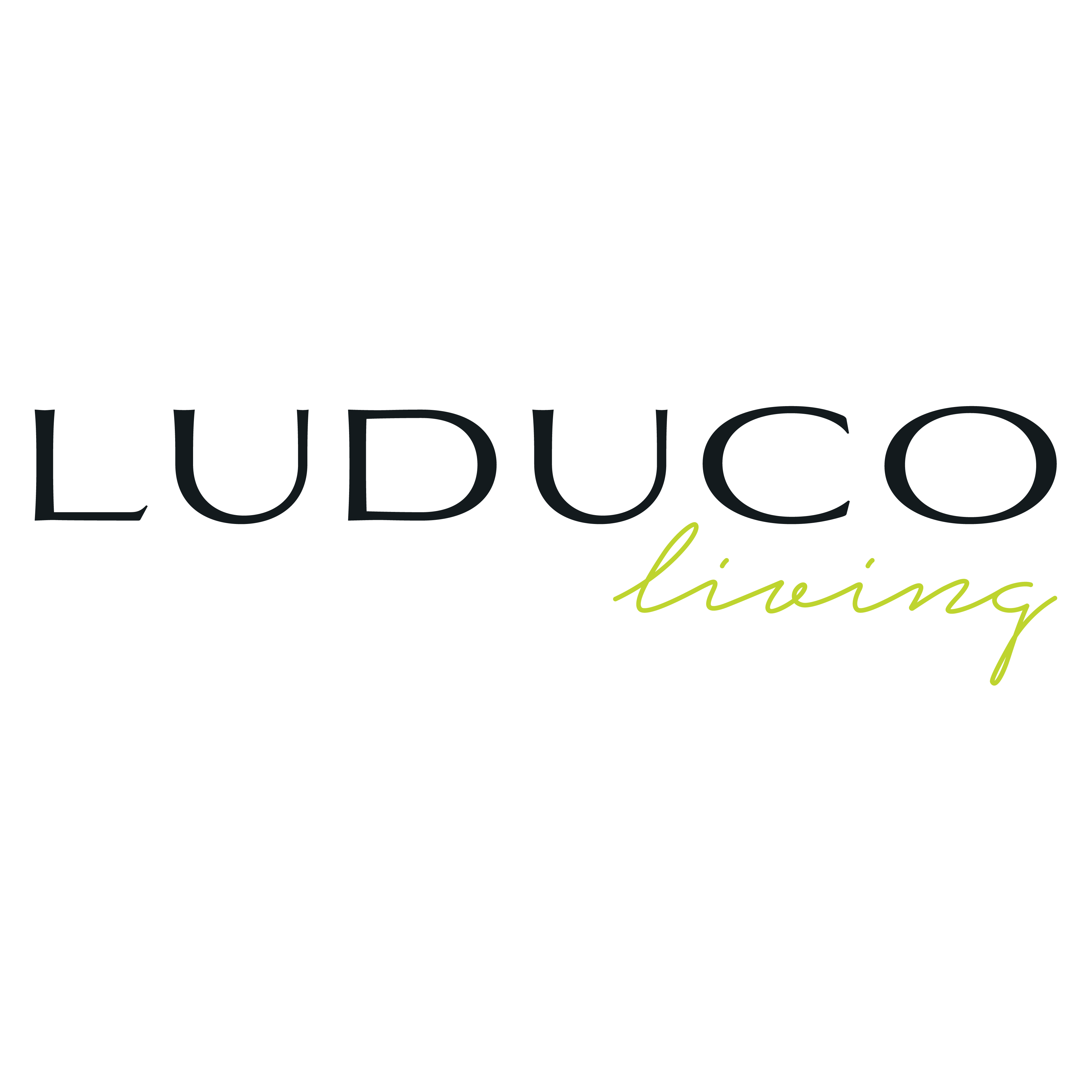 Jeremy Brook<Br>Owner, Luduco Living